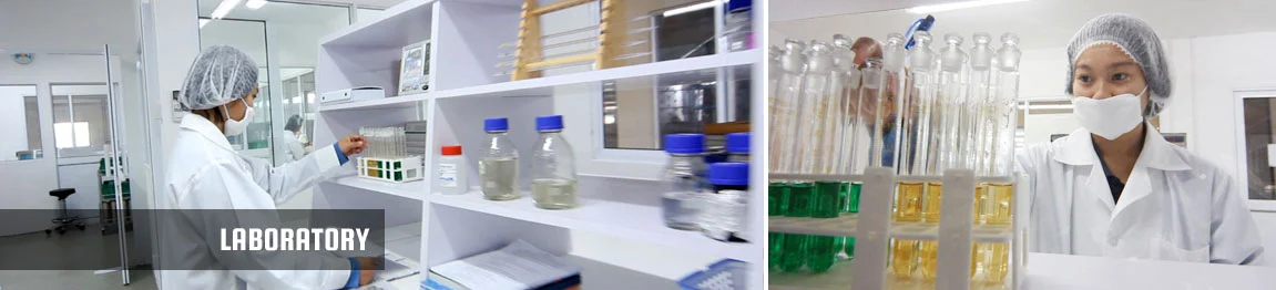 top-laboratory.webp