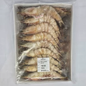 Raw Sea Flower - Head On Shell On 16/20 (1kg)