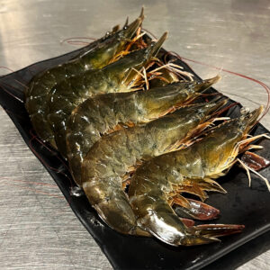 Fresh Vannamei Shrimp