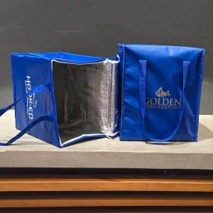 Cooler Bag with Logo (Medium)