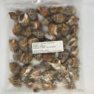 Frozen Top Shell (1kg)